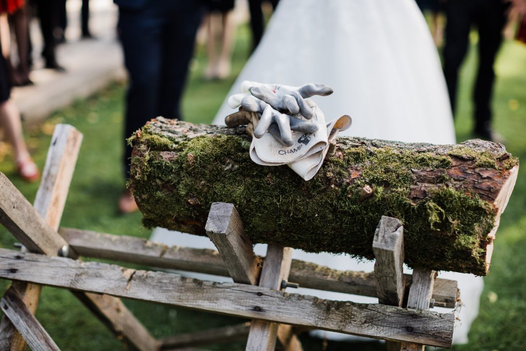 Handschuhe auf abgesägtem Baum