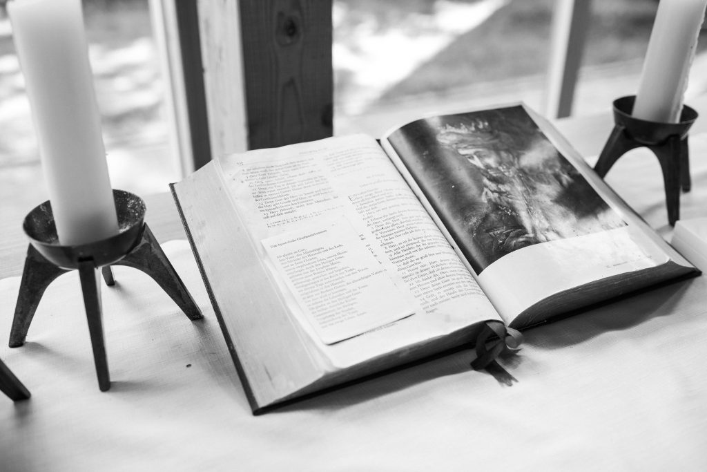 Hochzeit im Stadtpark in der Bucht