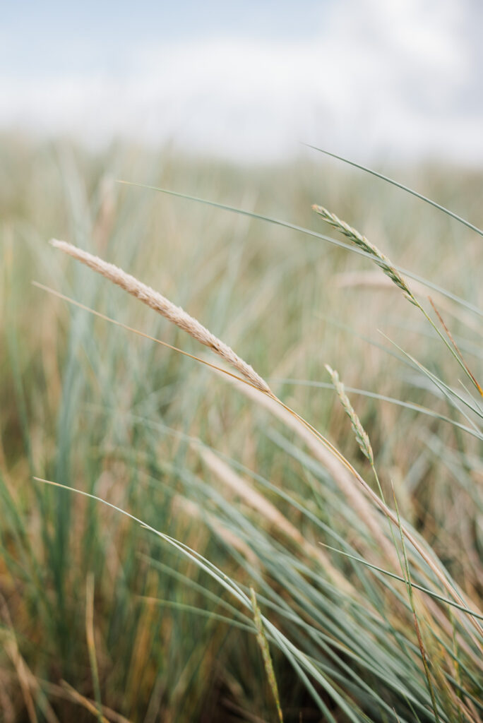 Strandhochzeit am Nordseestrand Schillig